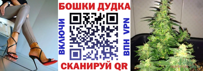 Бошки марихуана ГИДРОПОН Каргат